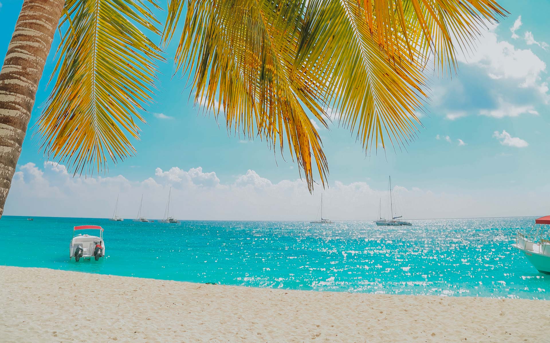 A privileged climate