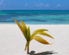 Why choose Punta Cana