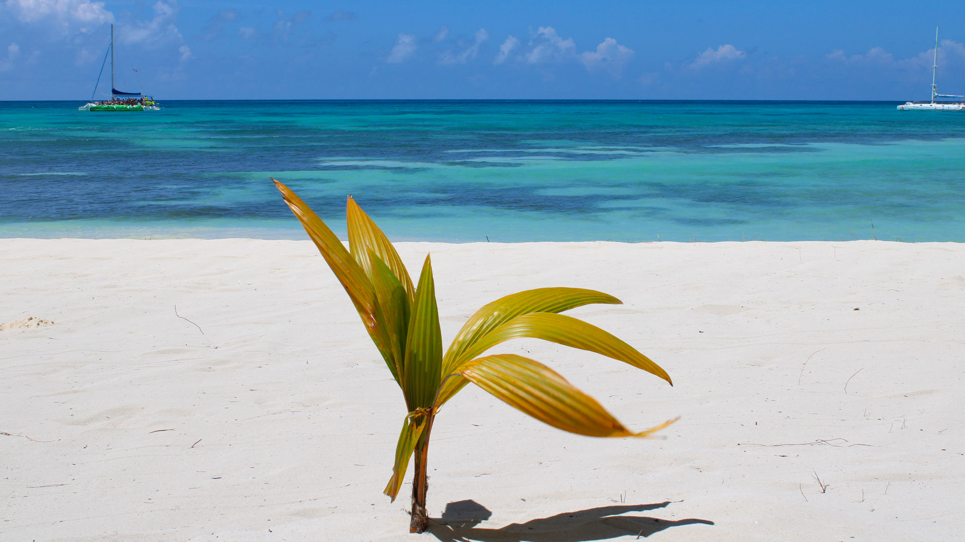 Why choose Punta Cana